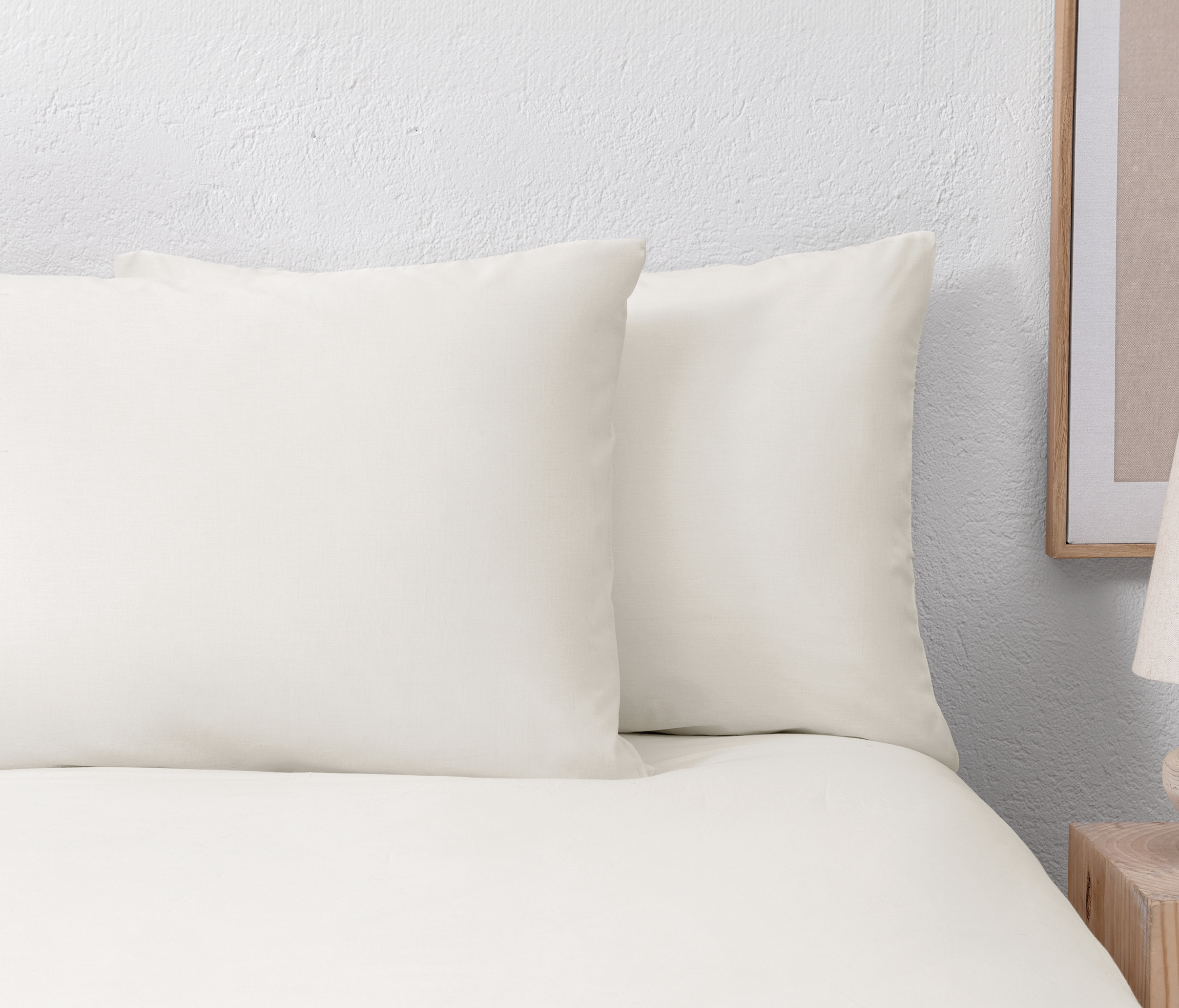 50x70 Standard Noah Pillow Case (2 PSC) - Ecru